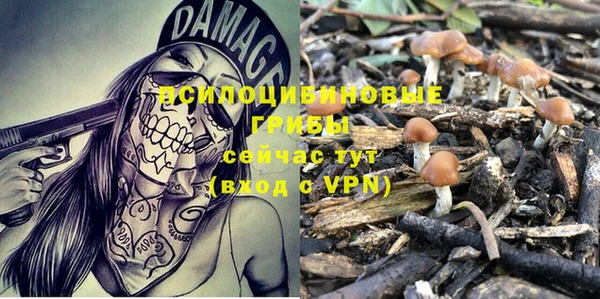 mdpv Гусев
