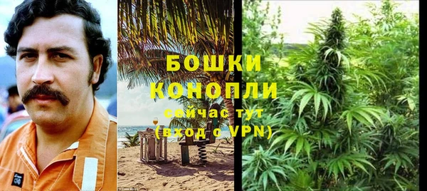 mdpv Гусев