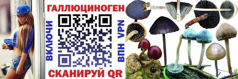 Псилоцибиновые грибы MAGIC MUSHROOMS  Купить закладки  Иланский 