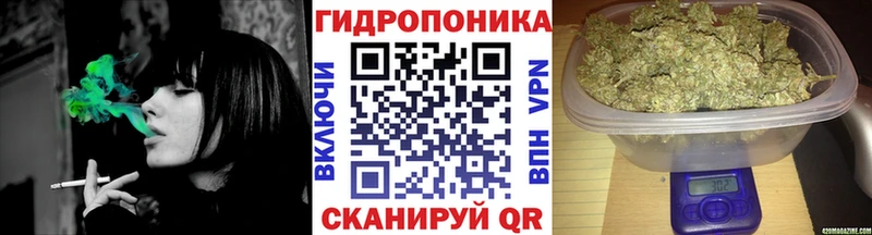 Бошки Шишки гибрид Иланский